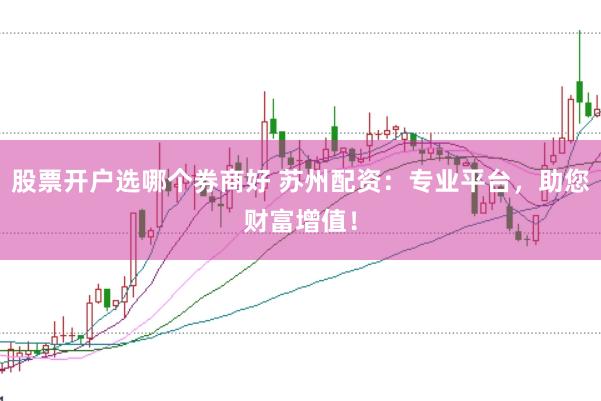 股票开户选哪个券商好 苏州配资：专业平台，助您财富增值！