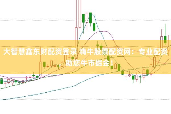 大智慧鑫东财配资登录 嗨牛股票配资网：专业配资，助您牛市掘金！
