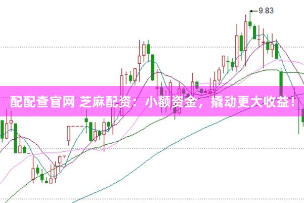 配配查官网 芝麻配资：小额资金，撬动更大收益！