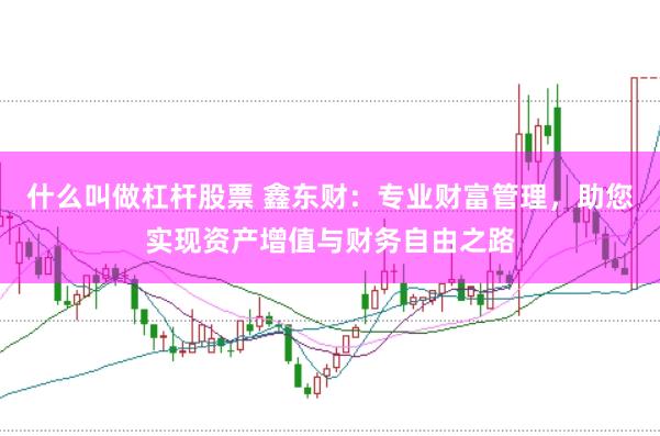 什么叫做杠杆股票 鑫东财：专业财富管理，助您实现资产增值与财务自由之路