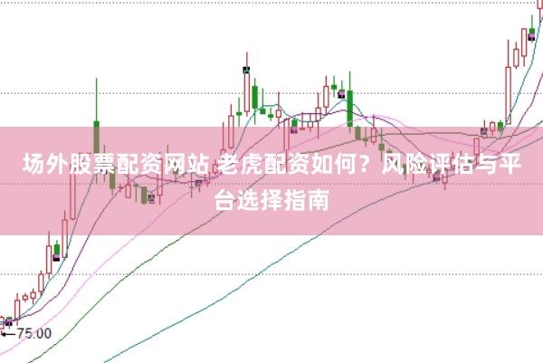 场外股票配资网站 老虎配资如何？风险评估与平台选择指南