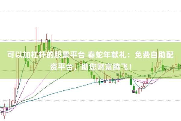 可以加杠杆的股票平台 春蛇年献礼：免费自助配资平台，助您财富腾飞！