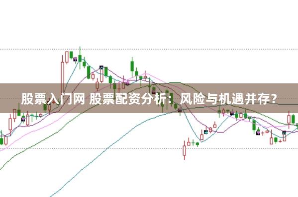 股票入门网 股票配资分析:风险与机遇并存?