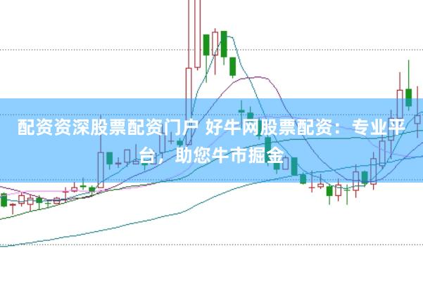 配资资深股票配资门户 好牛网股票配资:专业平台,助您牛市掘金