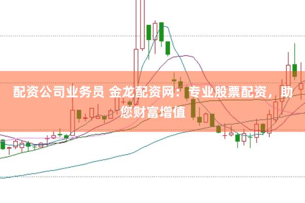 配资公司业务员 金龙配资网:专业股票配资,助您财富增值