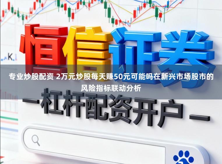 专业炒股配资 2万元炒股每天赚50元可能吗在新兴市场股市的风险指标联动分析