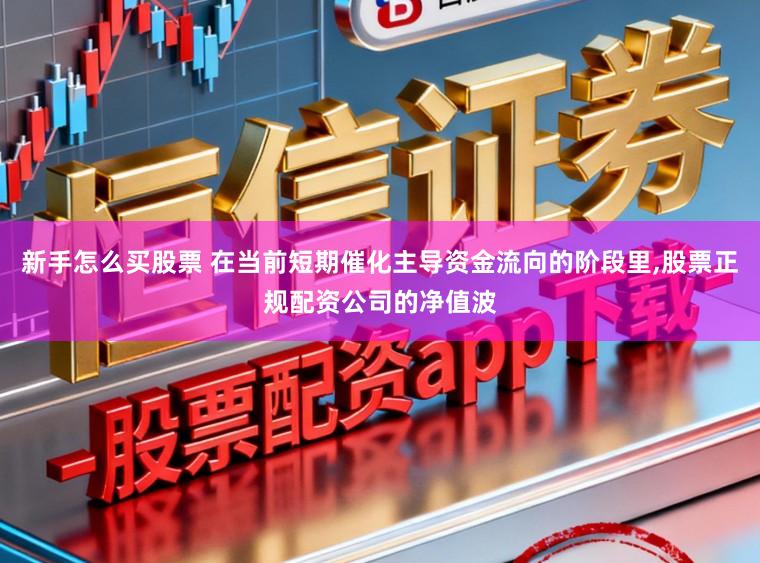 新手怎么买股票 在当前短期催化主导资金流向的阶段里，股票正规配资公司的净值波
