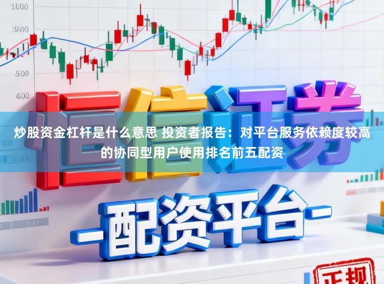 炒股资金杠杆是什么意思 投资者报告：对平台服务依赖度较高的协同型用户使用排名前五配资