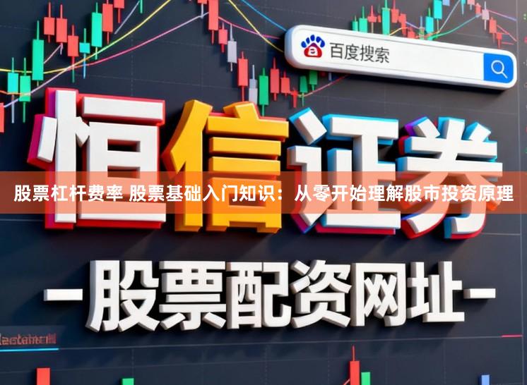 股票杠杆费率 股票基础入门知识：从零开始理解股市投资原理