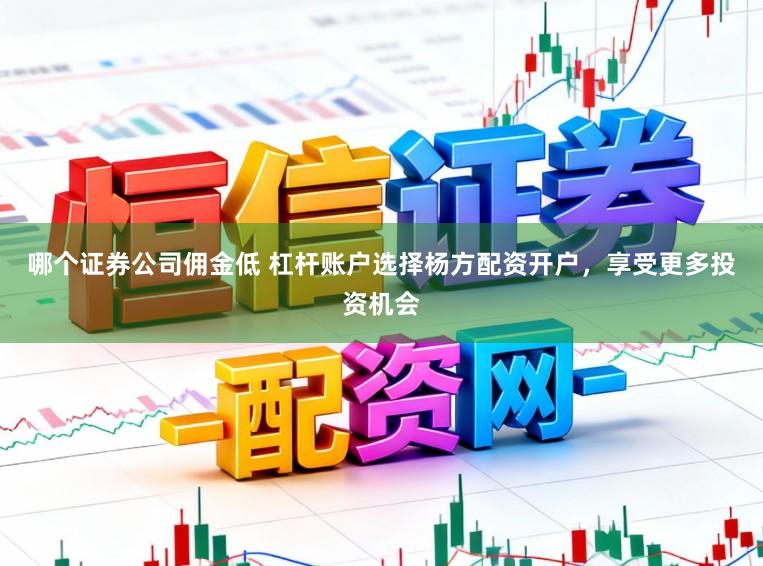 哪个证券公司佣金低 杠杆账户选择杨方配资开户，享受更多投资机会